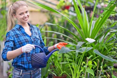 Knightsbridge garden maintenance tools in action