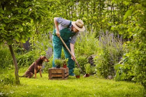 Soil management techniques for a healthy Knightsbridge garden