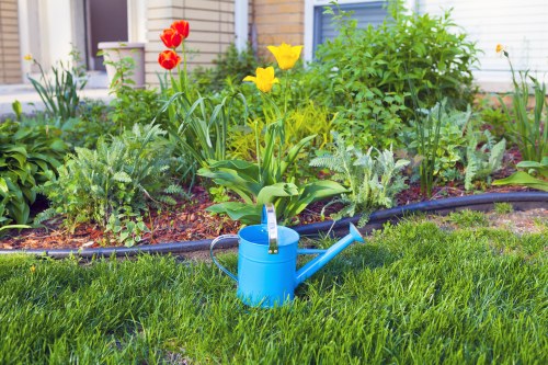 Eco-friendly lawn mowing equipment in action