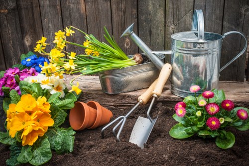 Professional garden clearance team at work