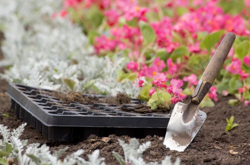Sustainable landscaping features with native plants