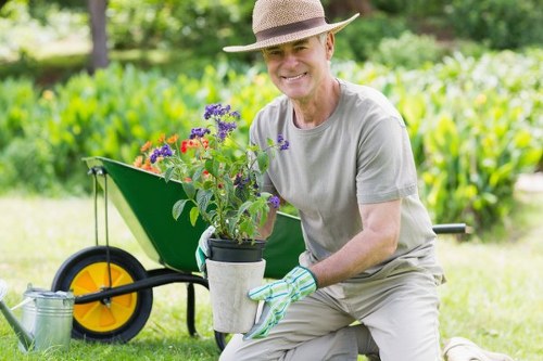 Comprehensive lawn care services including edging and fertilization